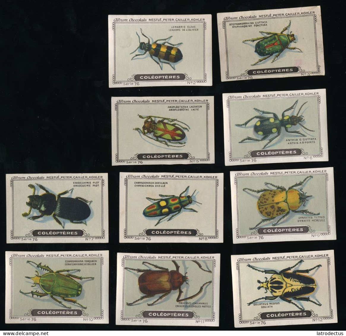 Nestlé - 76 - Coléoptères, Coleoptera, Beetles - Part Of Serie - Nestlé