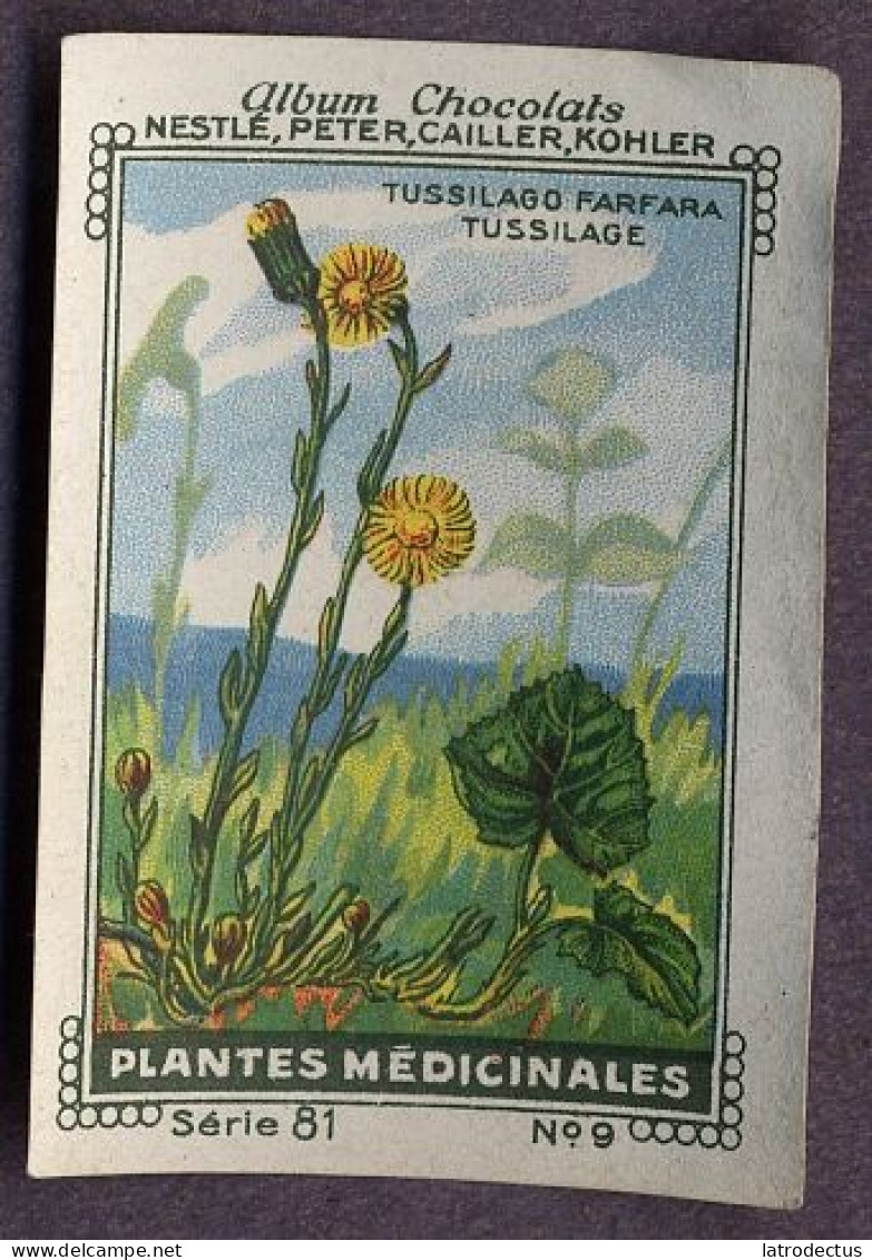 Nestlé - 81 - Plantes Médicinales, Medicinal Plants - 9 - Tussilago Farfara, Coltsfoot, Tussilage - Nestlé