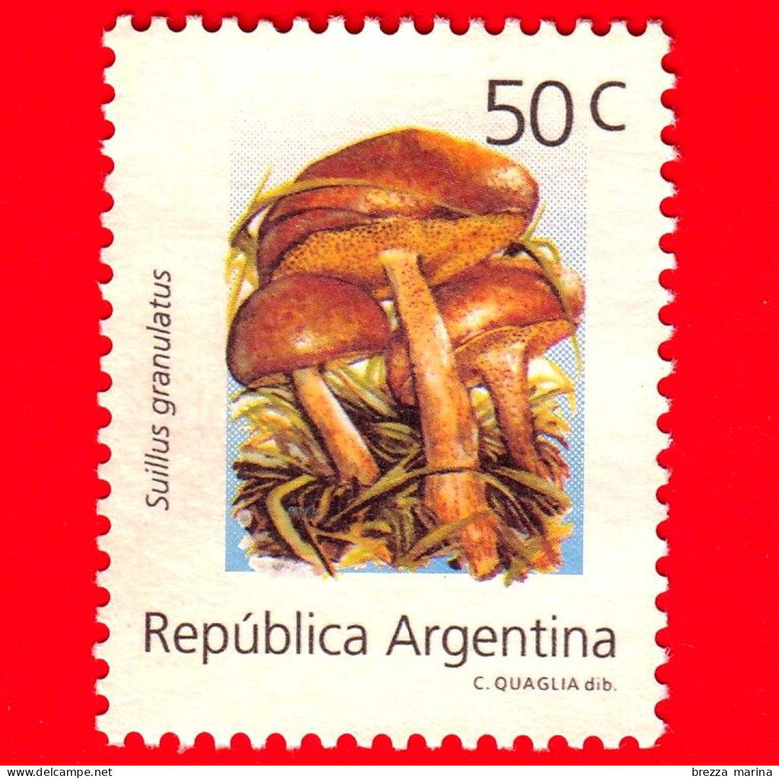 ARGENTINA - Usato -  1994 - Funghi - Mushrooms - Suillus Granulatus - 50 - Gebruikt