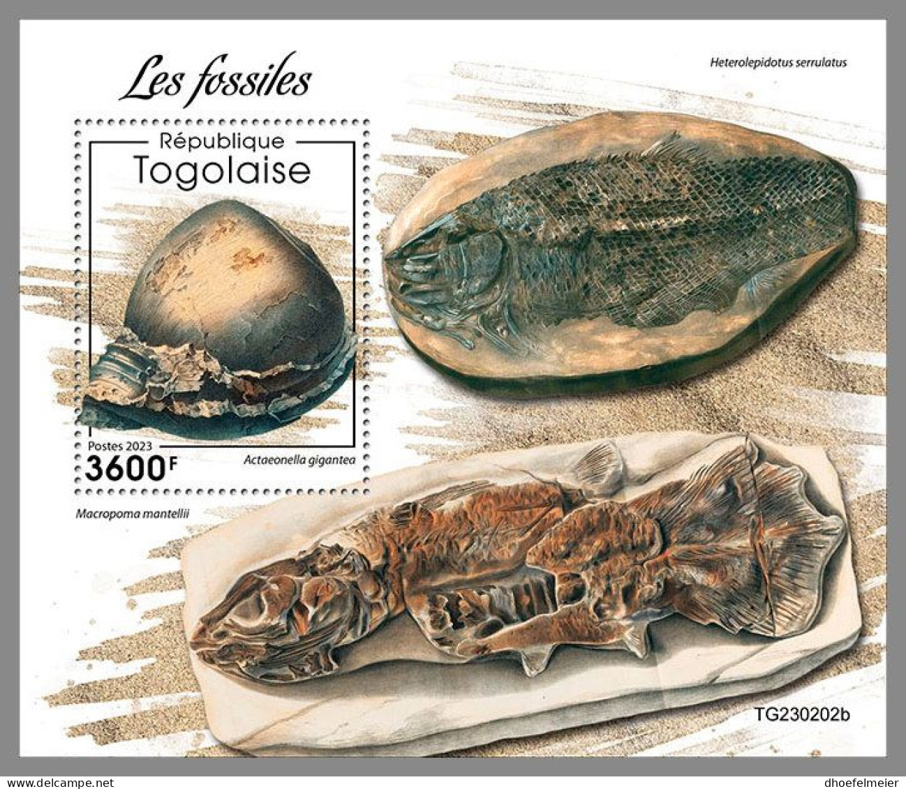 TOGO 2023 MNH Fossils Fossilien S/S – OFFICIAL ISSUE – DHQ2414 - Fossielen