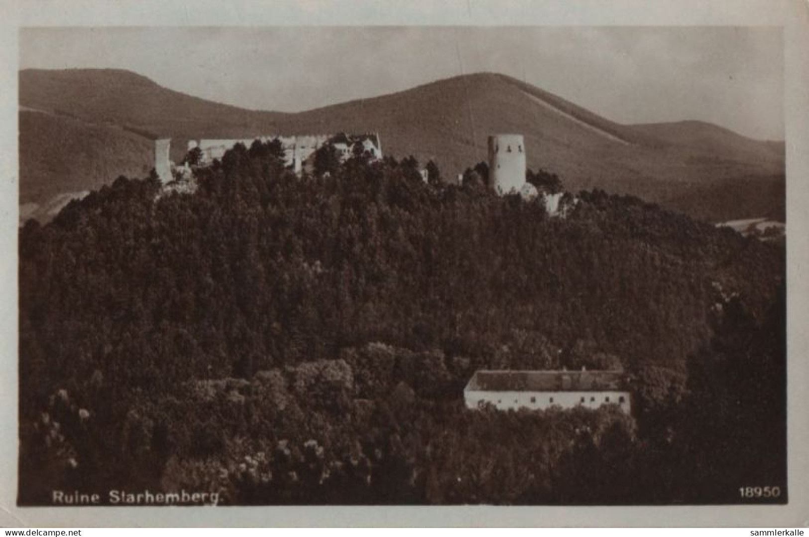 46937 - Österreich - Starhemberg - Ruine - 1932 - Wiener Neustadt