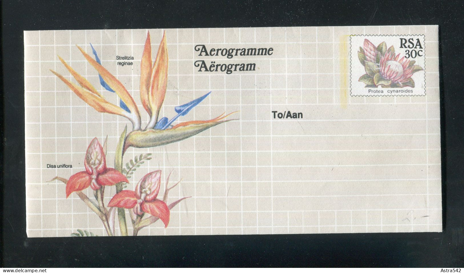 "SUEDAFRIKA" Aerogramm ** (A1017) - Airmail