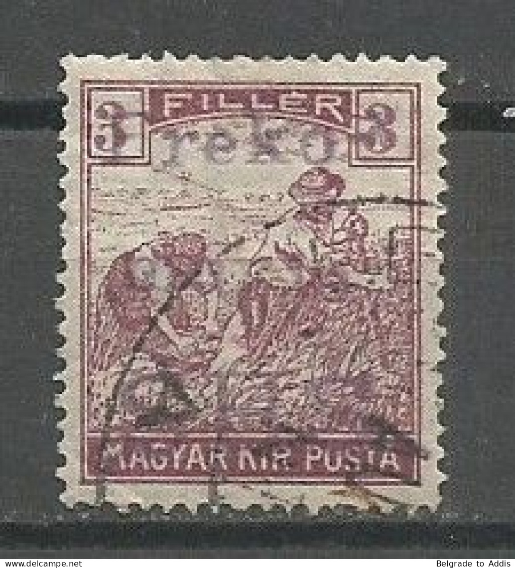 Slovenia Hungary Yugoslavia SHS Kingdom Local Issue Preko Murje Dobrovnik Used 1919 - Oblitérés