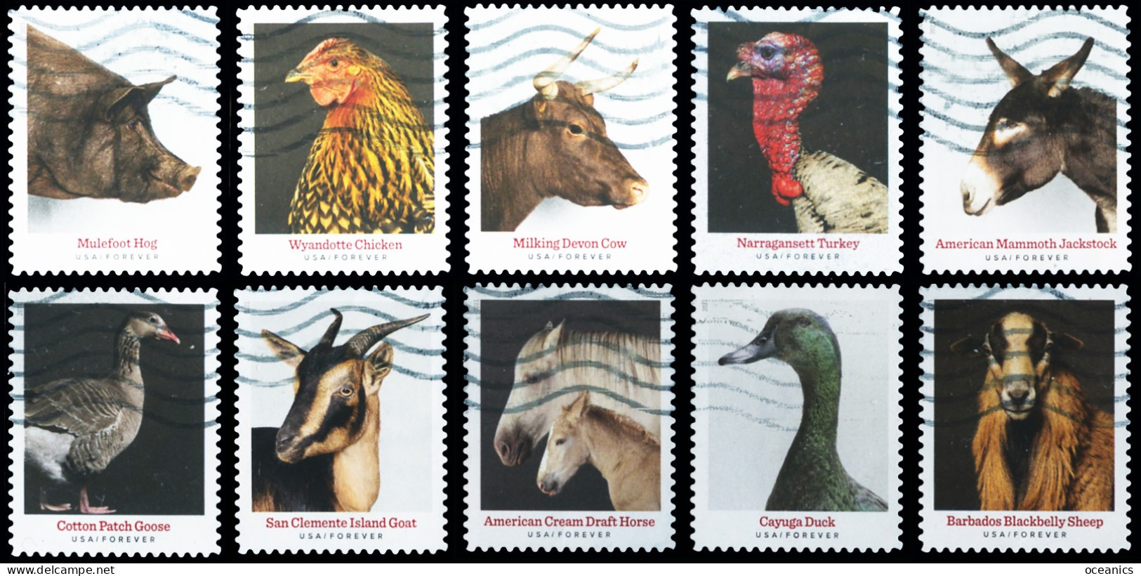 Etats-Unis / United States (Scott No.5583-92 - Heritage Breeds) (o) Set Of 10 - Oblitérés