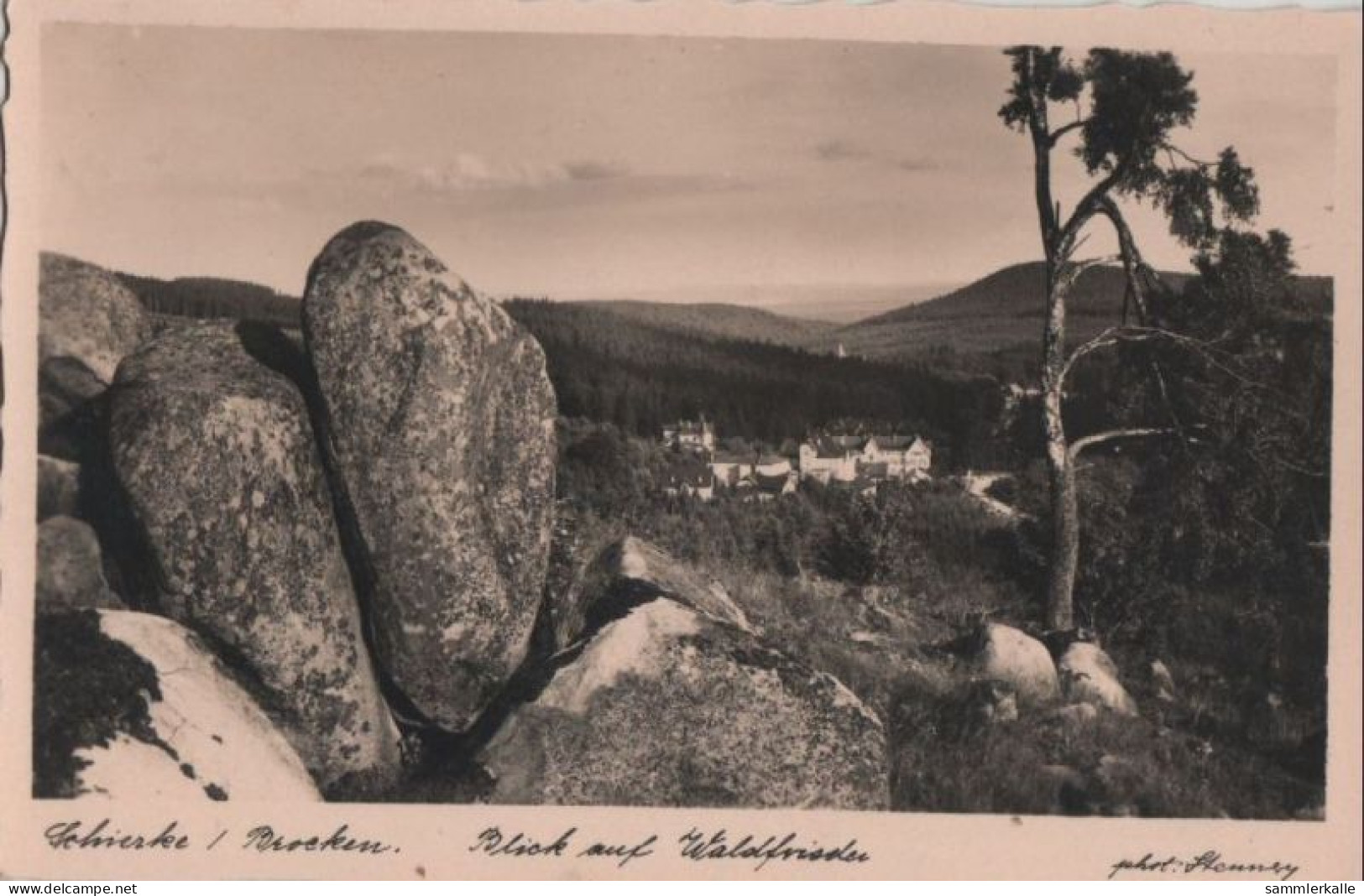 85984 - Schierke - Blick Auf Waldfriede - Ca. 1955 - Schierke