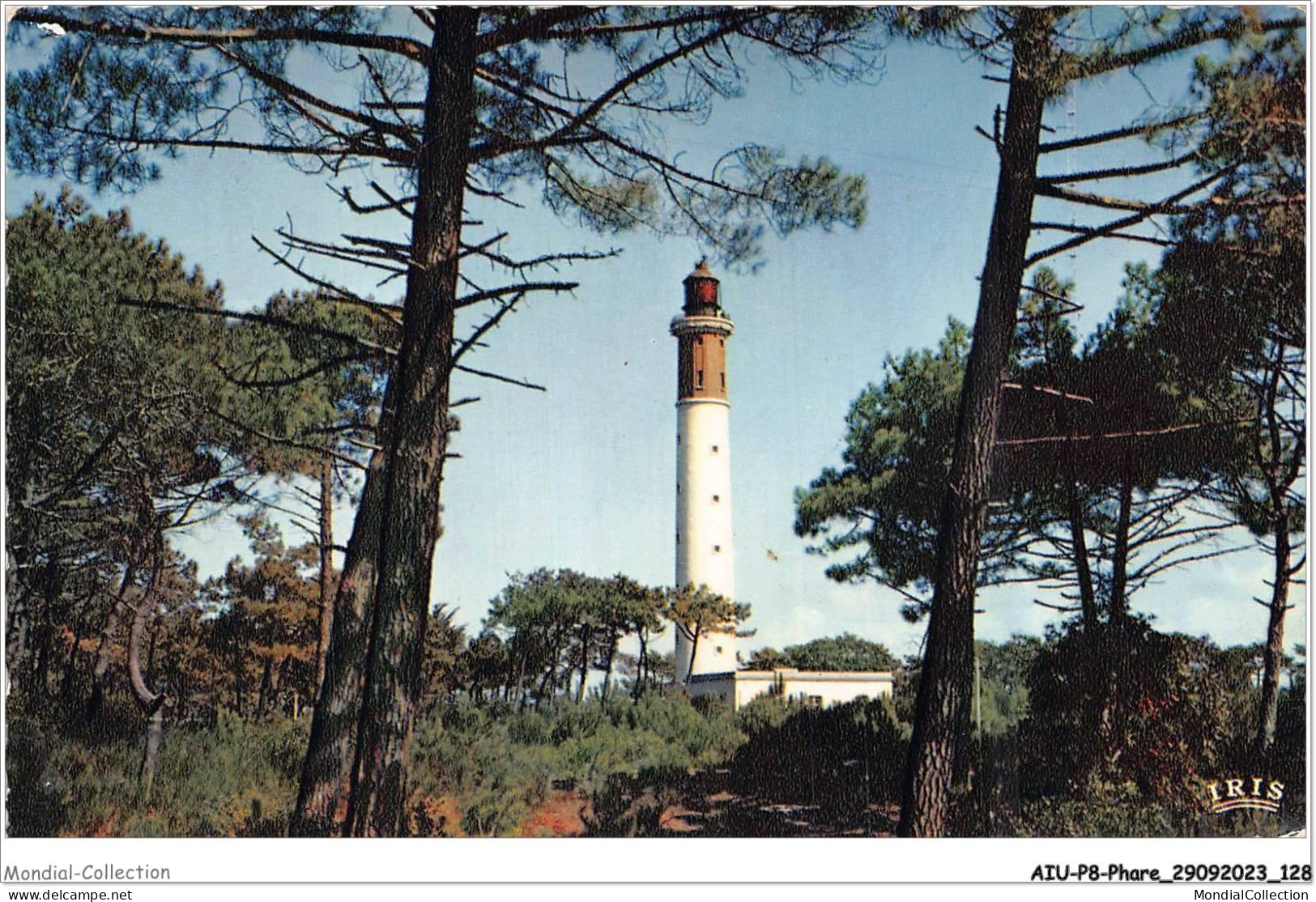 AIUP8-0753 - PHARE - Cap Ferret - Le Phare  - Lighthouses