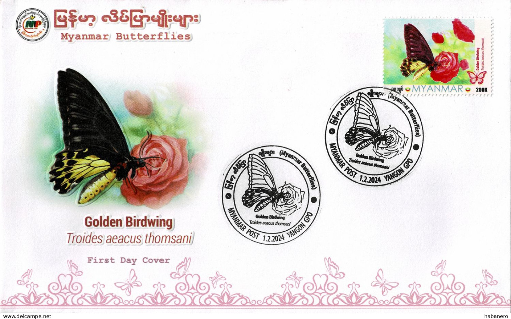 MYANMAR 2024 GOLDEN BIRDWING BUTTERFLY FDC - Myanmar (Birma 1948-...)