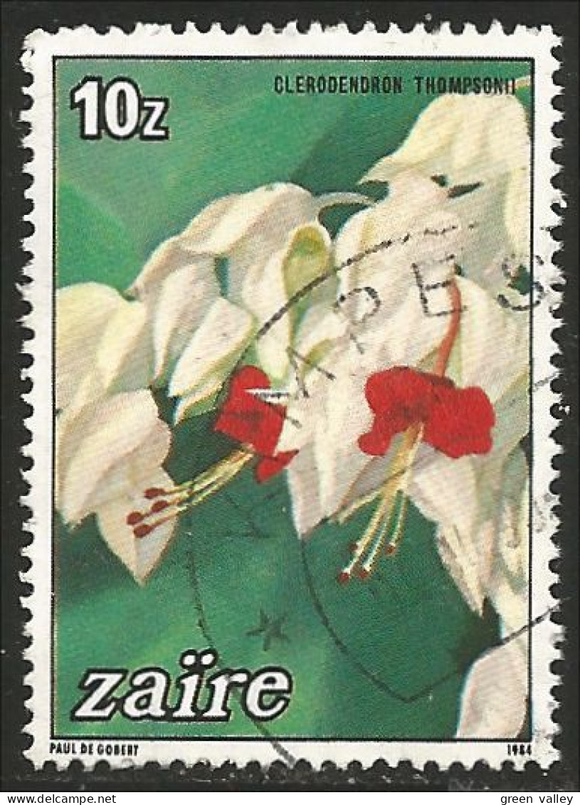 956 Zaire Fleur Clerodendron Flower (ZAI-20) - Gebruikt