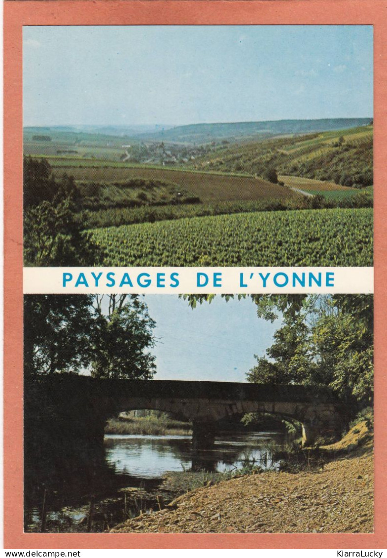 CHAMPS SUR YONNE - YONNE - VUE GENERALE - PETIT PONT - EDITIONS DE L'ORANGERIE VERSAILLES - NEUVE - Champs Sur Yonne