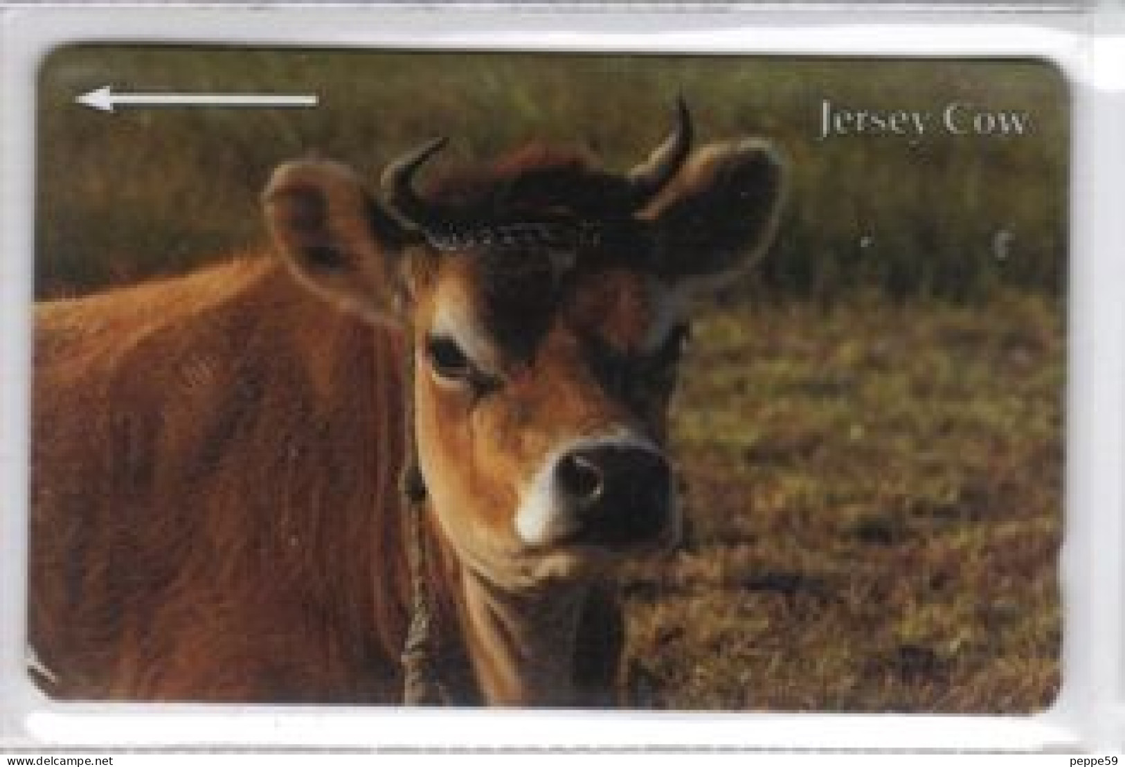 Carta Telefonica - Isola Di Jersey - Carte Telefoniche@Scheda@Schede@Phonecards@Telecarte@Telefonkarte - [ 7] Jersey And Guernsey