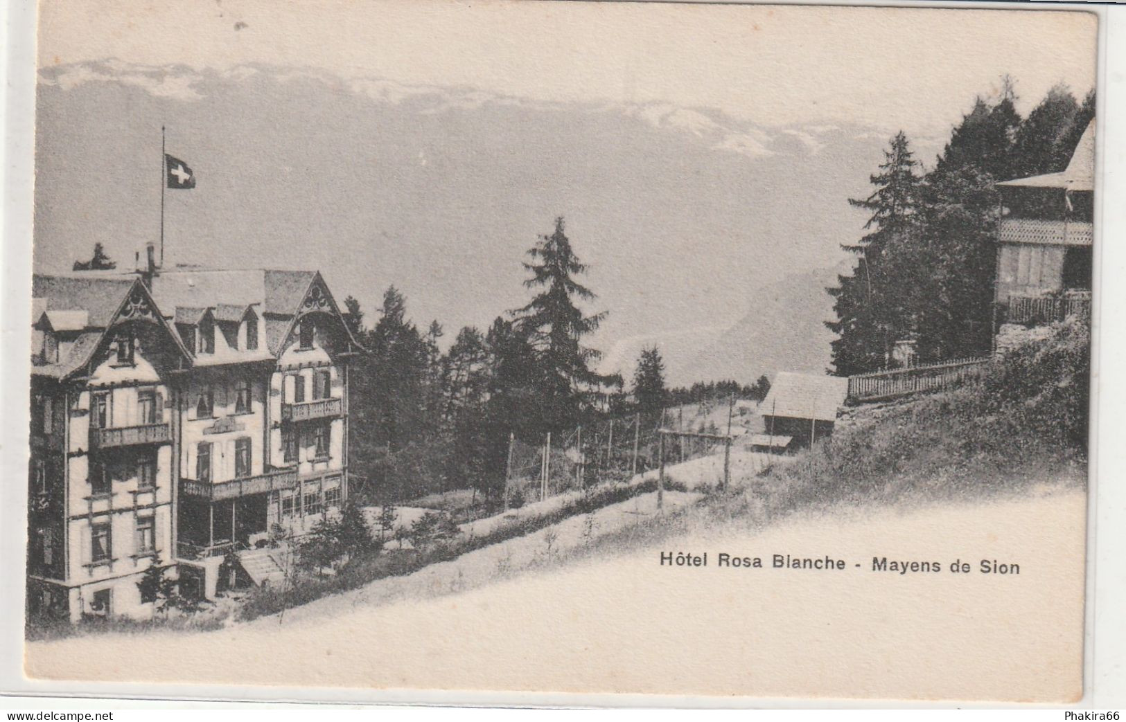 HOTEL ROSA BIANCHE MEYENS - Sion