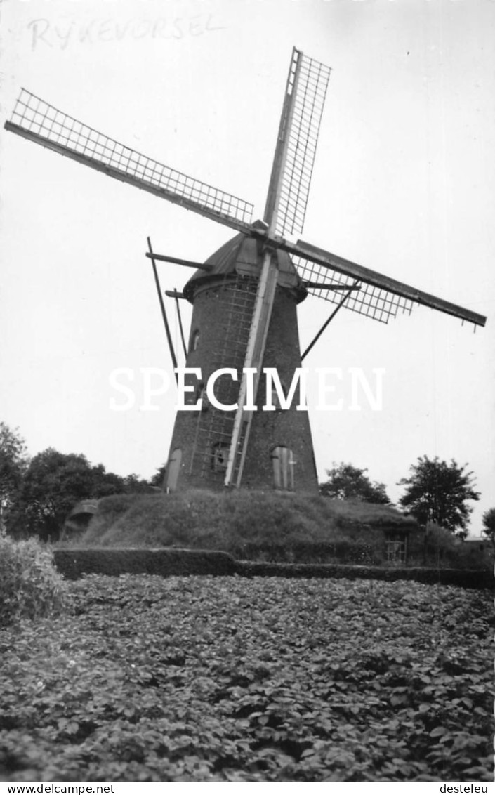 Molen Rijkevorsel - Rijkevorsel