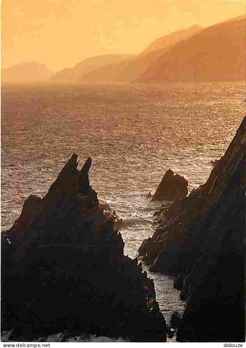 Irlande - Kerry - View Of The Great Blasket Island As Seen From Dunmore Head On The Dingle Peninsula - CPM - Voir Scans  - Kerry