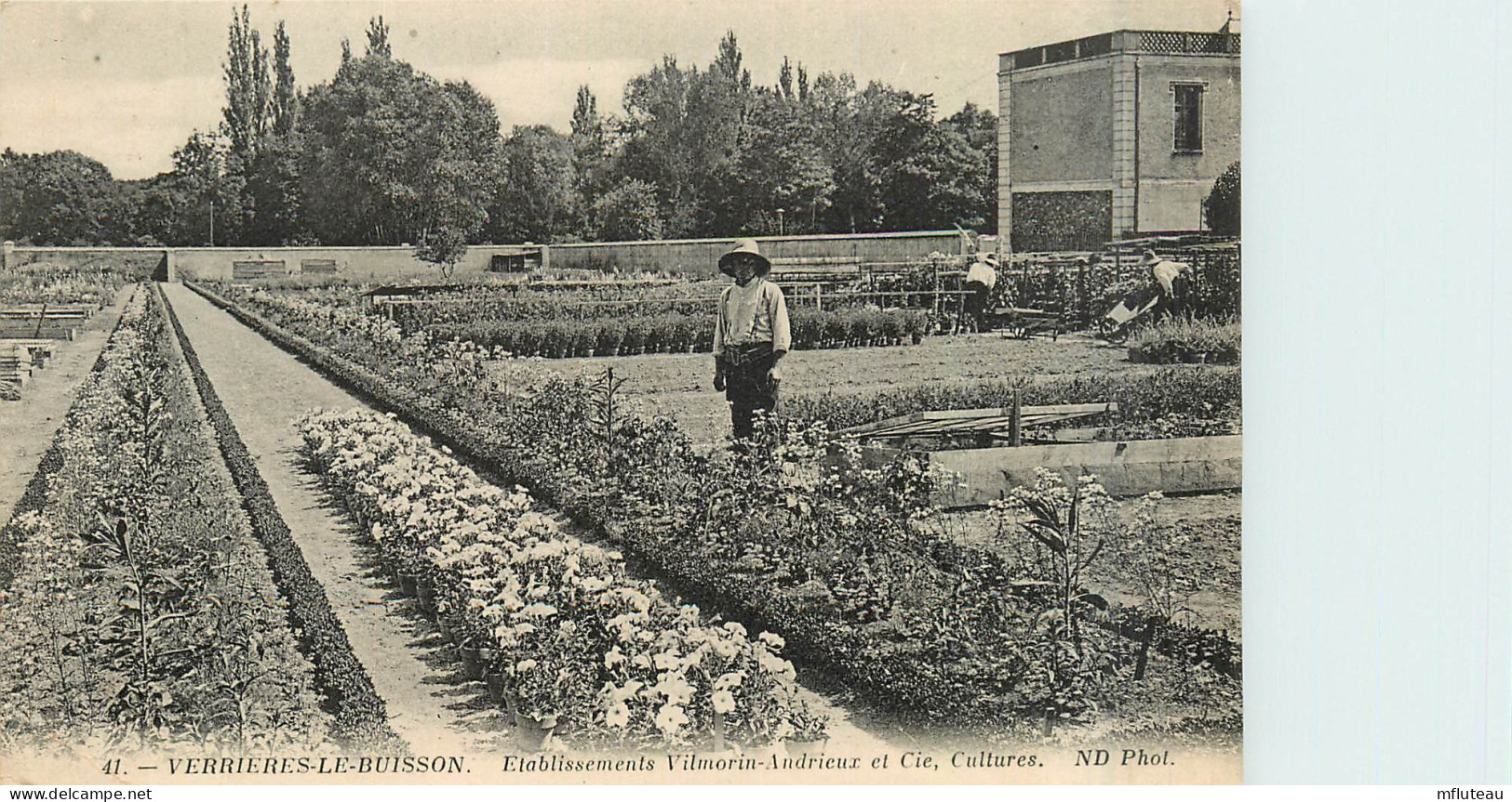 91* VERRIERES LE BUISSON  Ets Vilmorin Andrieux - Cultures         RL28,1949 - Verrieres Le Buisson