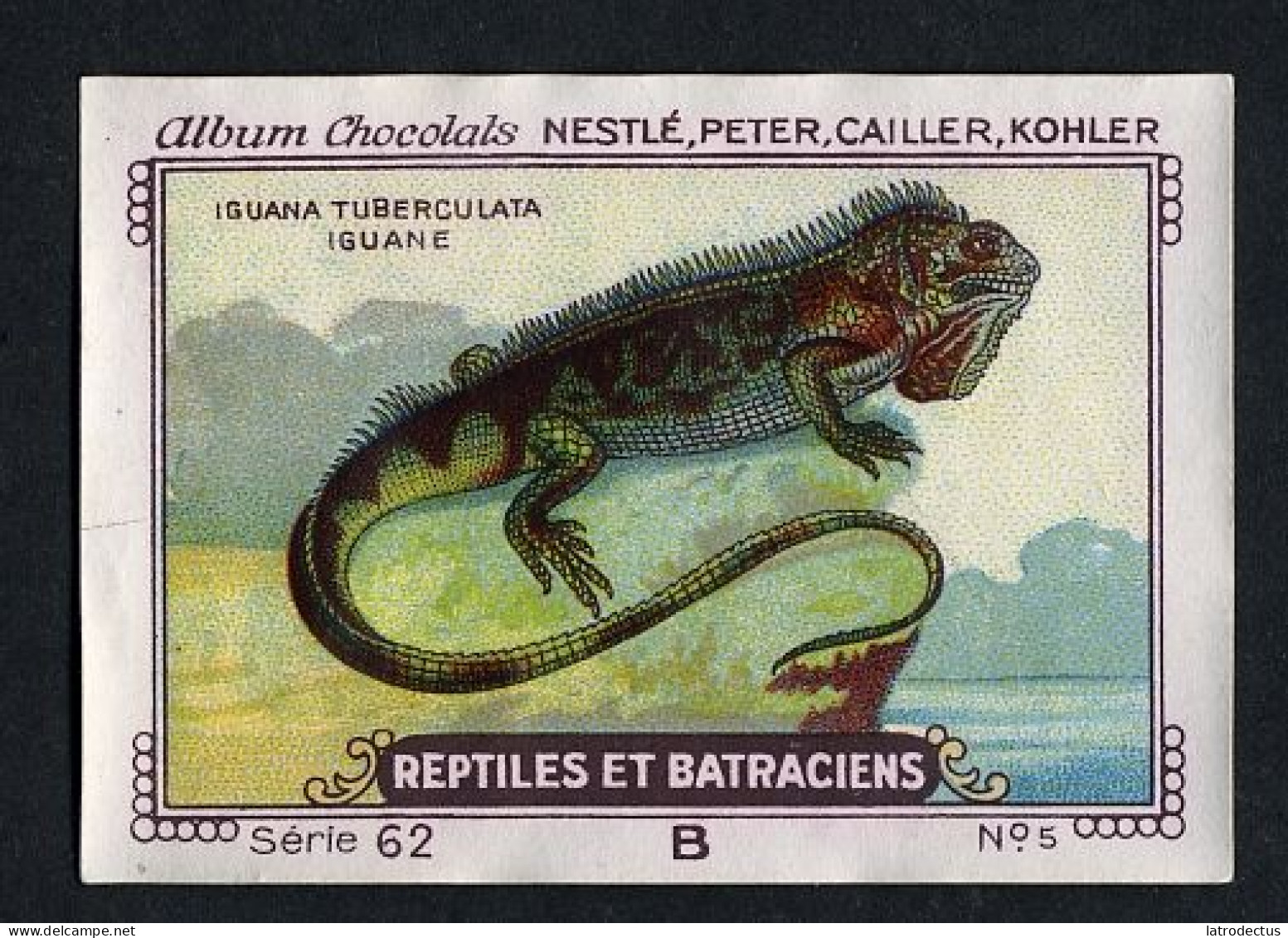 Nestlé - 62B - Reptiles Et Batraciens, Reptiles And Amphibians - 5 - Iguana, Iguane - Nestlé