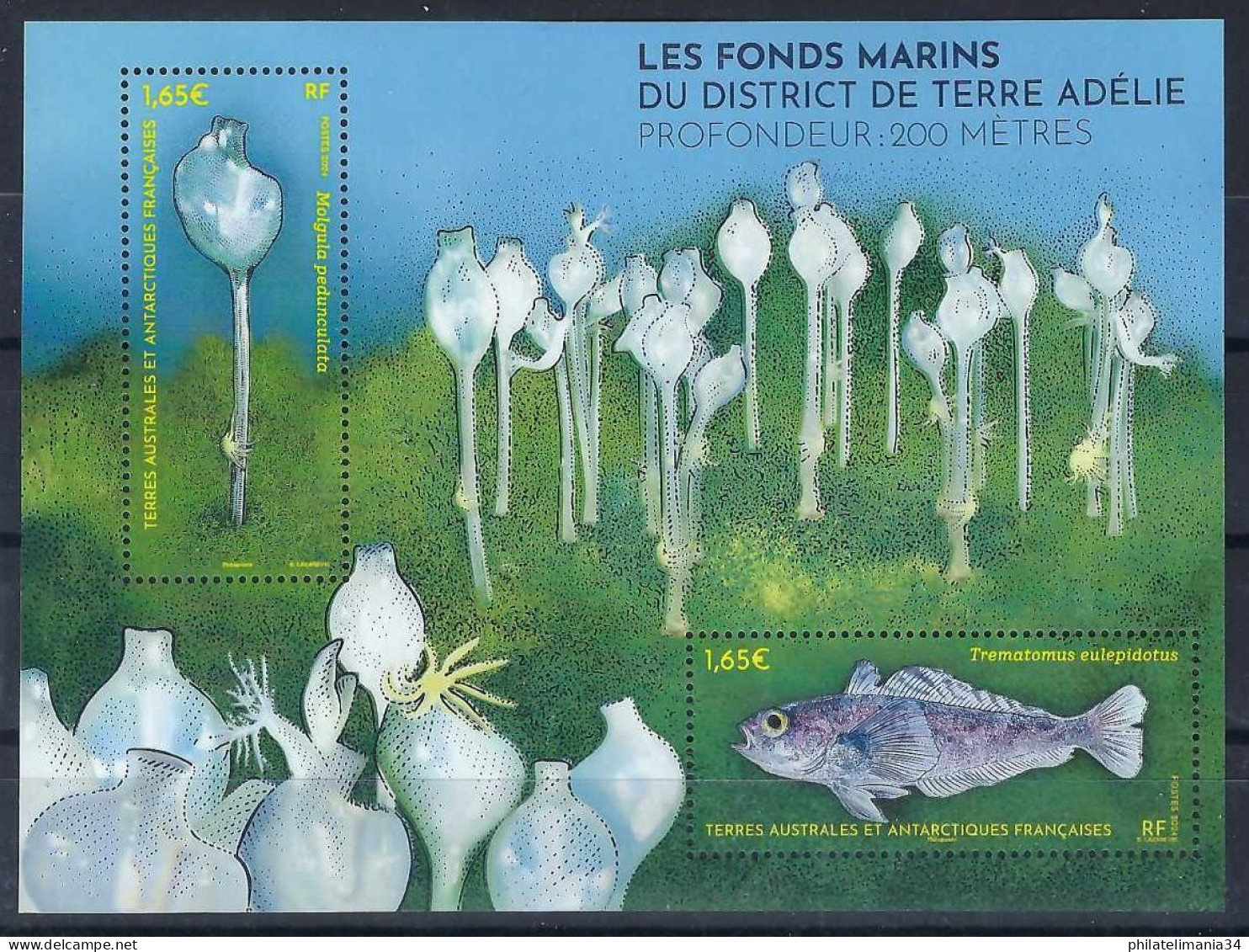 TAAF 2024 - Les Fonds Marins - Blocs-feuillets