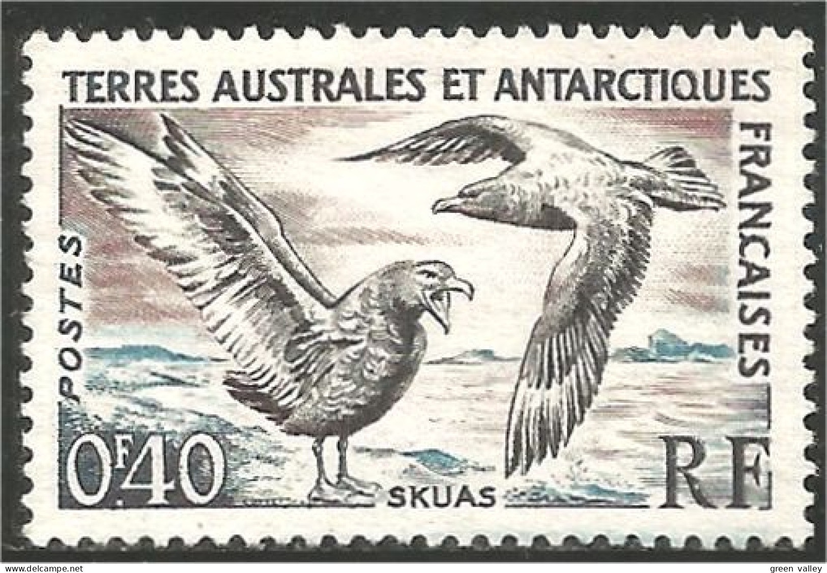 388 TAAF FSAT Skuas Mouette Gull Mowe Sans Gomme (f3-TAF-148b) - Antarctic Wildlife