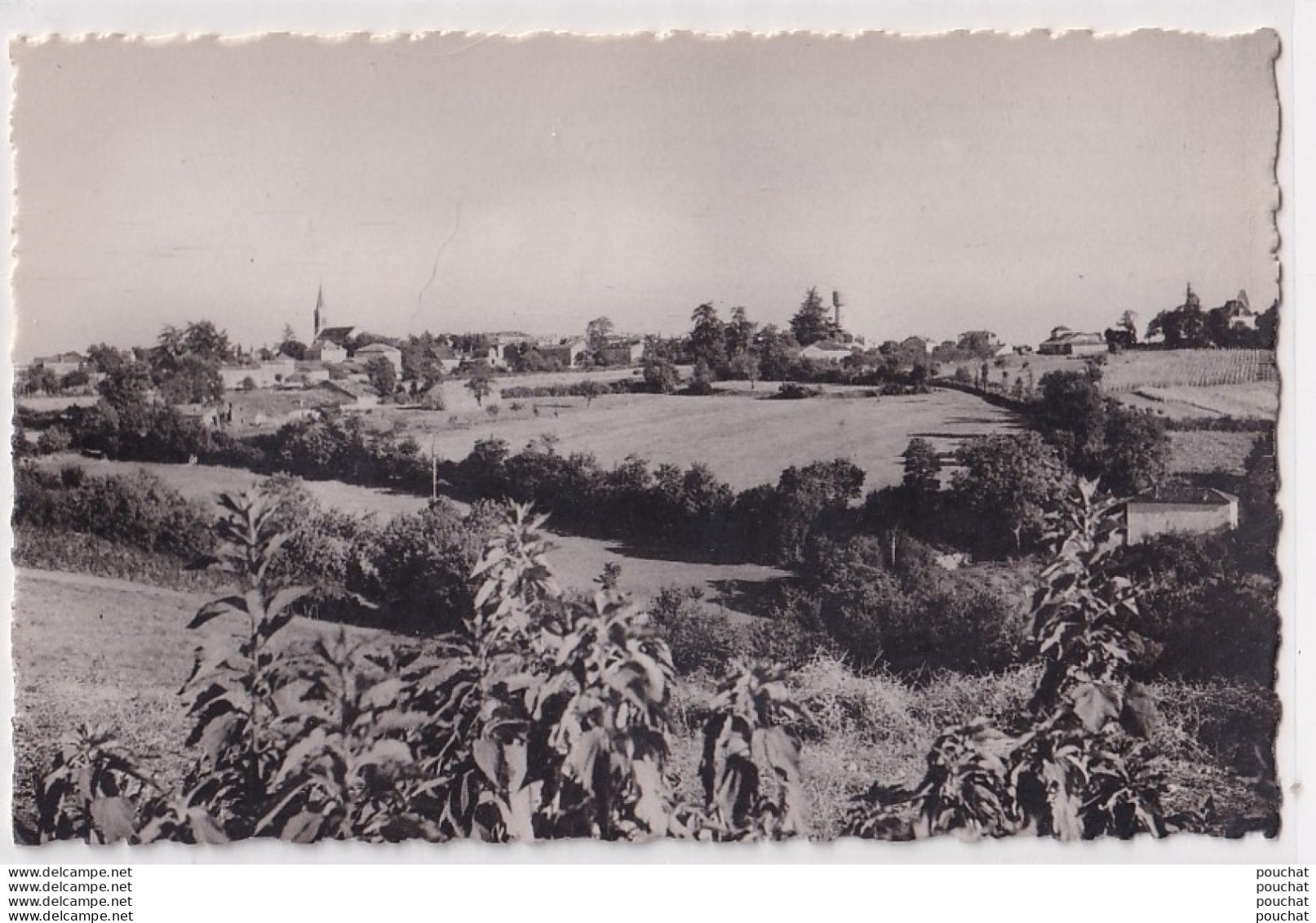 J13-47) LAROQUE TIMBAUT (LOT ET GARONNE) VUE GENERALE - ( 2 SCANS ) - Laroque Timbault