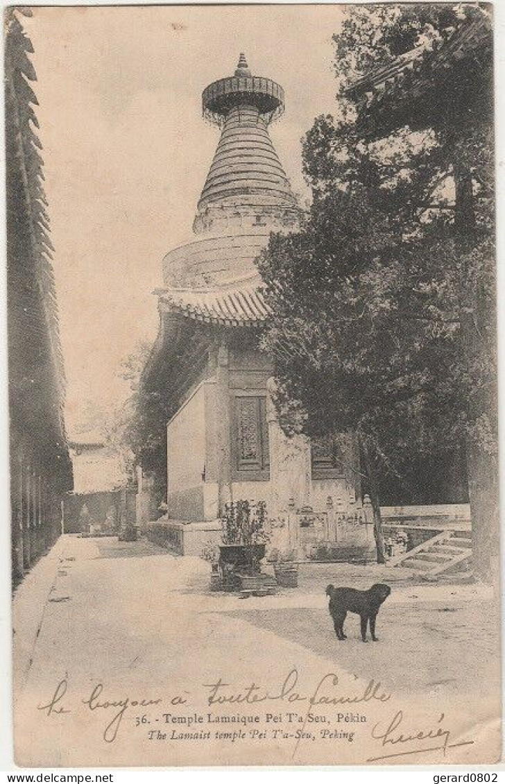 CHINE - Carte Postale Du Bureau Français De TIEN TSIN Pour La FRANCE - Lettres & Documents