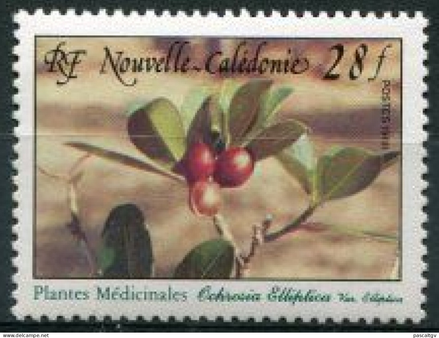 Nouvelle Calédonie - 1988 - N°556 ** - Nuovi