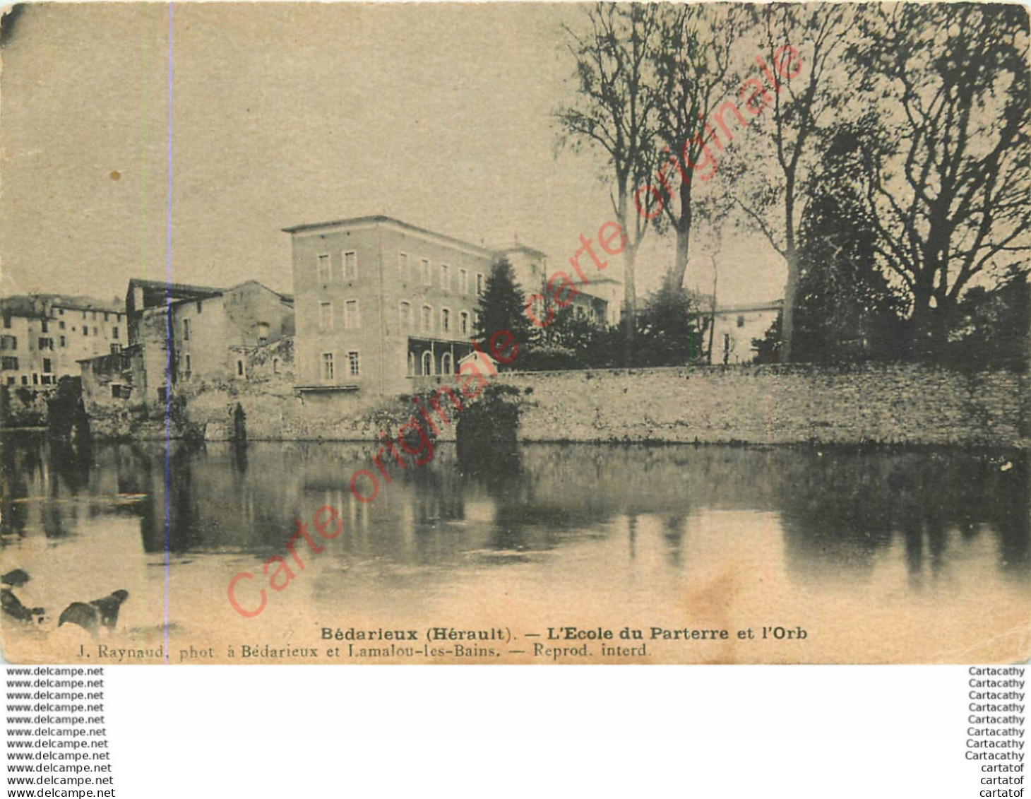 34.  BEDARIEUX .  Ecole Du Parterre Et L'Orb . - Bedarieux