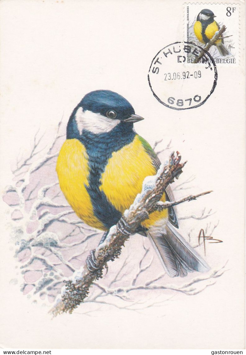 Carte Maximum Belgique Oiseau Bird Buzin 2460 Mésange 1992 - 1991-2000