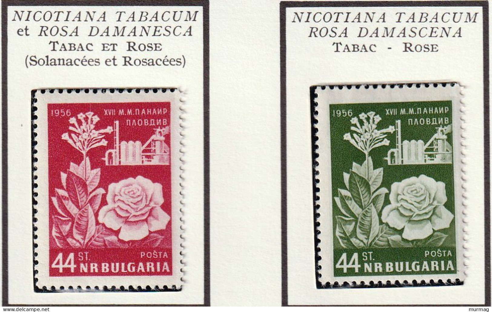 BULGARIE - Tabac Et Rose - 1956-57 - MNH - Unused Stamps