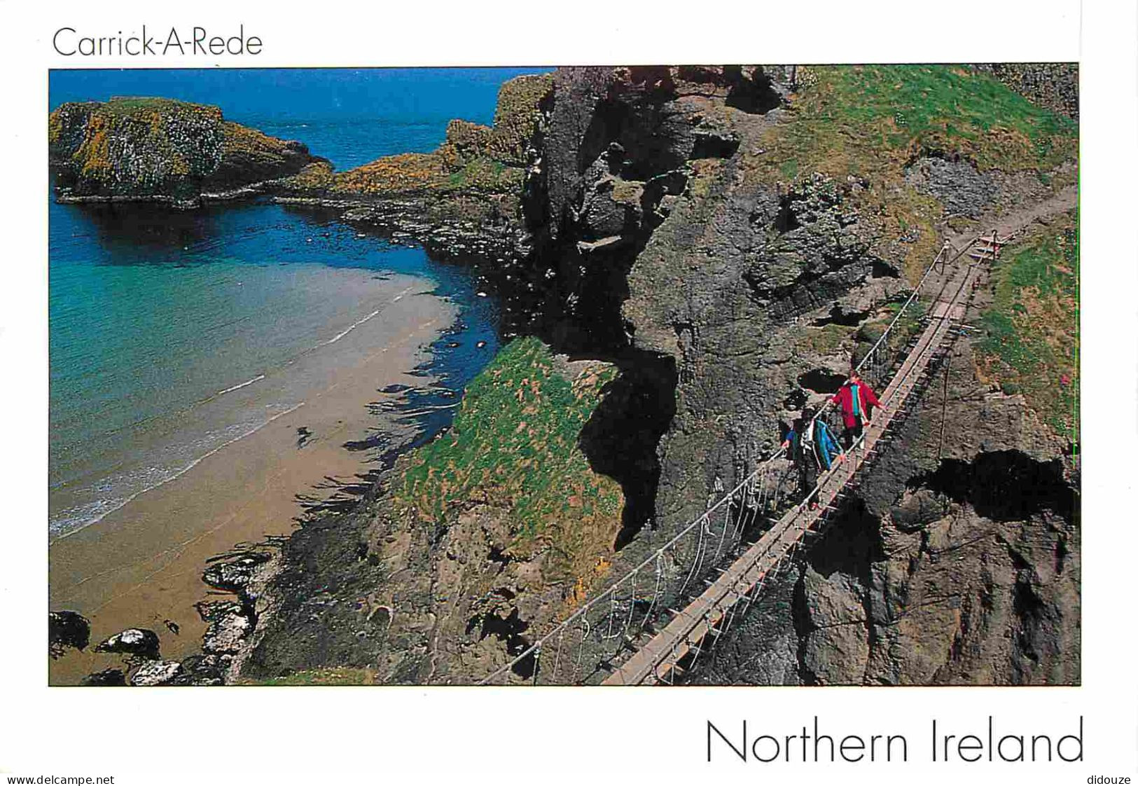 Irlande Du Nord - Antrim - Carrick-a-Rede - A Rope Bridge Used By Salmon Fishermen Spanning An 80 Ft Chasm - CPM - Voir  - Antrim