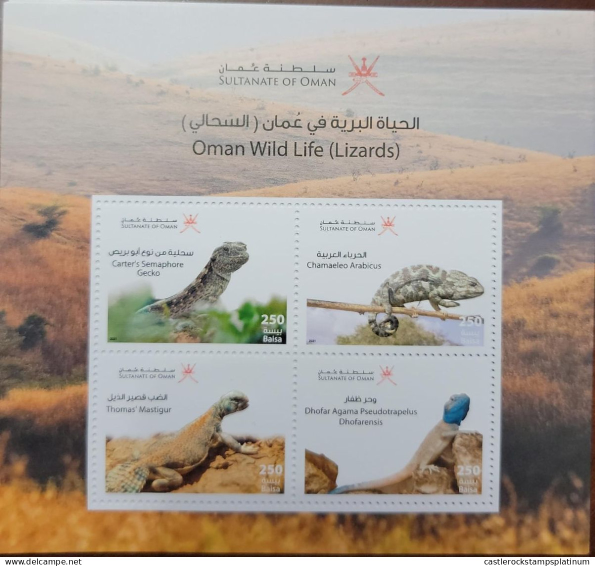 O) 2021 OMAN, WILD LIFE LIZARDS, MNH - Oman