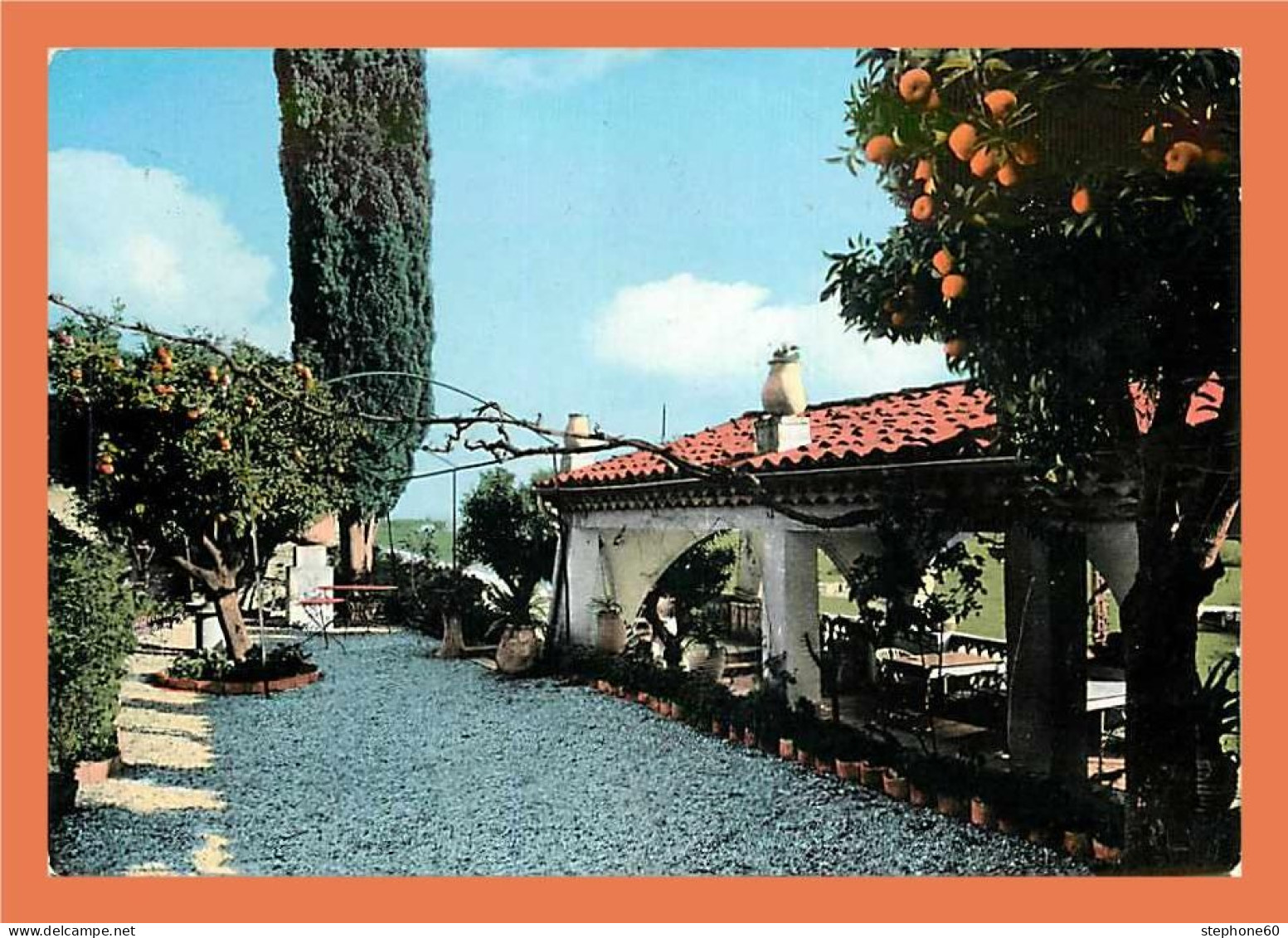 A439 / 429 06 - BIOT Le MAS DES ORANGERS Les Jardins - Biot