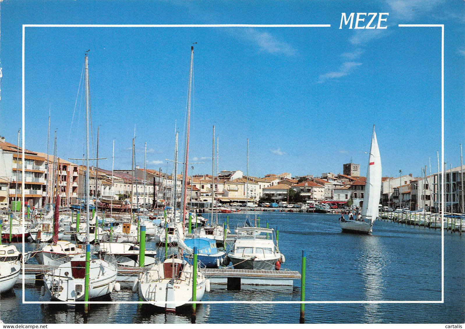 34-MEZE-N°C-3665-B/0373 - Mèze