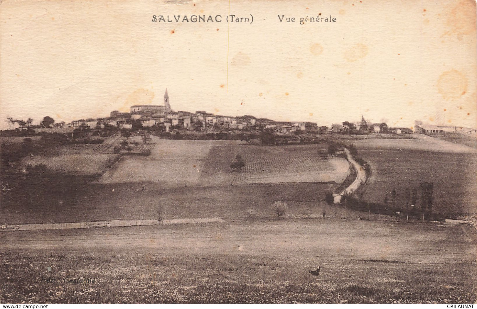 81-SALVAGNAC-N°T5305-E/0365 - Salvagnac