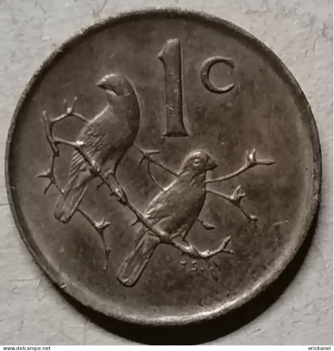 SOUTH AFRICA 1988 1 CENT - Südafrika