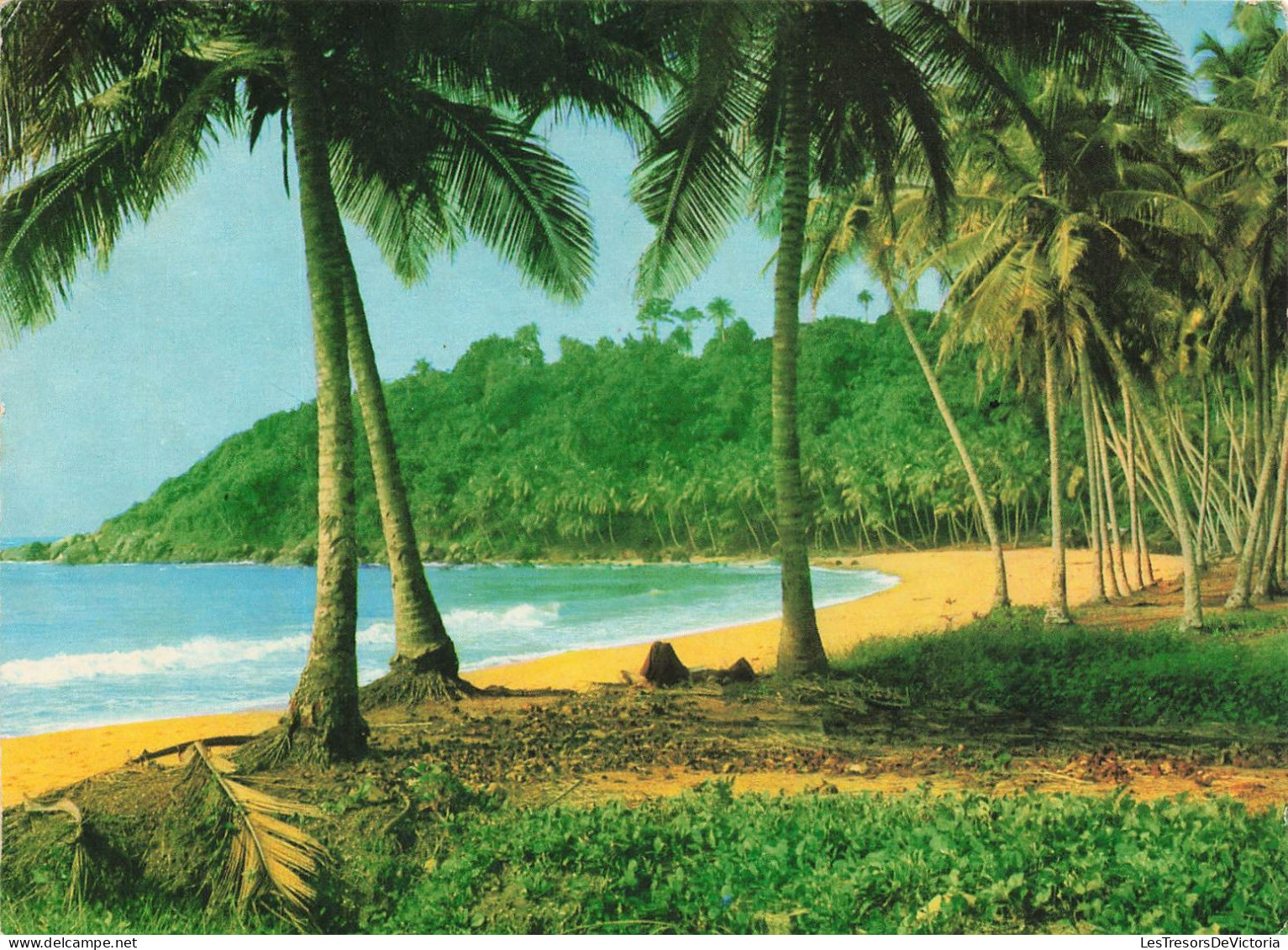 COTE D'IVOIRE - République De La Côte D'Ivoire - Région Ouest - Paysage De La Côte - Palmiers - Carte Postale - Ivory Coast