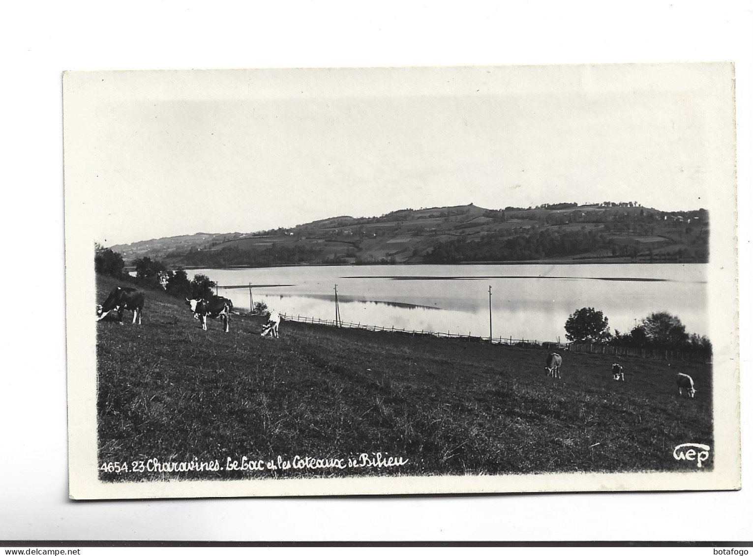 CPA  PHOTO DPT 38 CHARAVINES , LE LAC ET LES COTEAUX DE BILIEU - Charavines