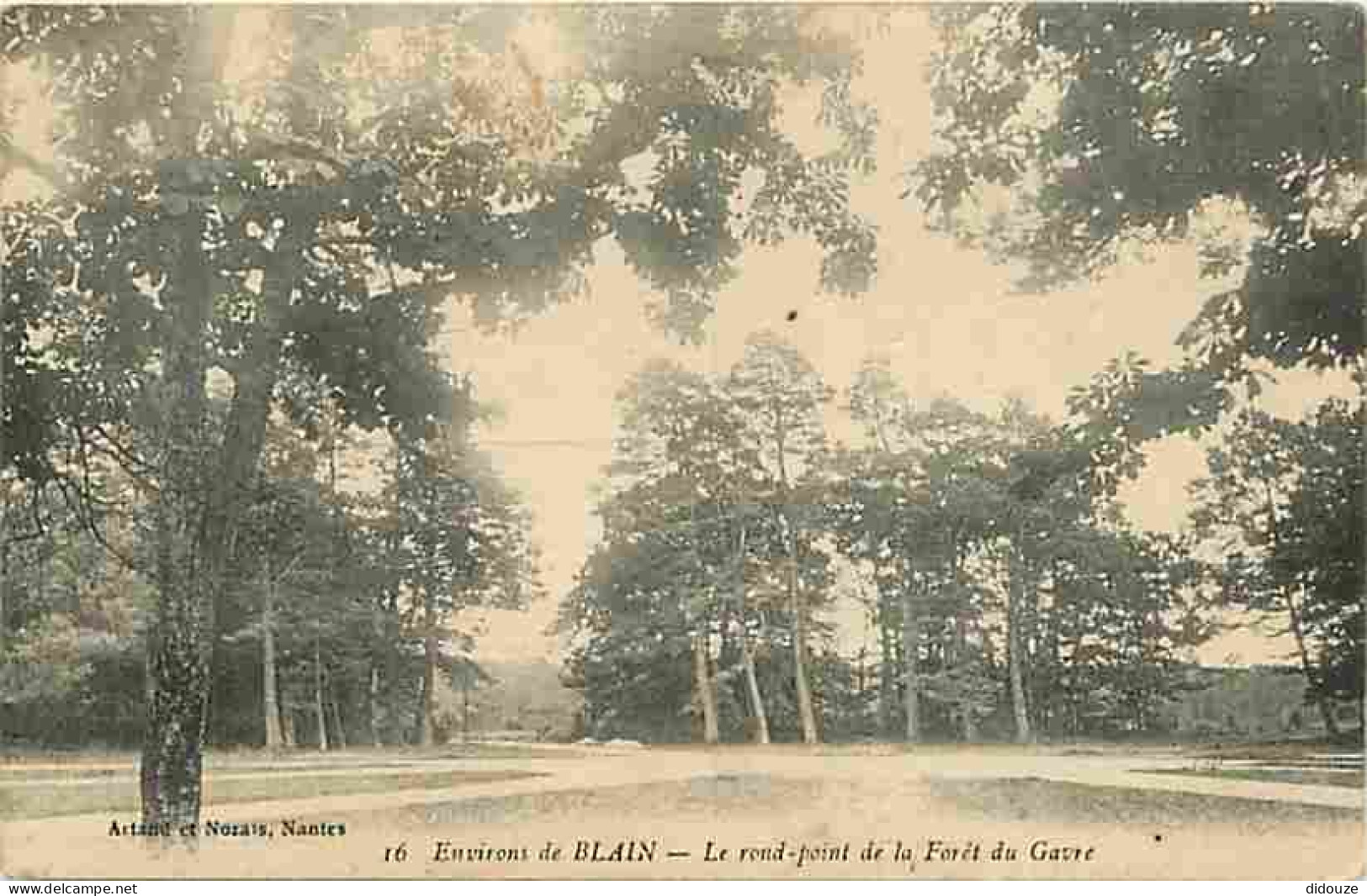 44 - Blain - Le Rond-point De La Forêt Du Gavre Aux Environs De Blain - CPA - Voir Scans Recto-Verso - Blain