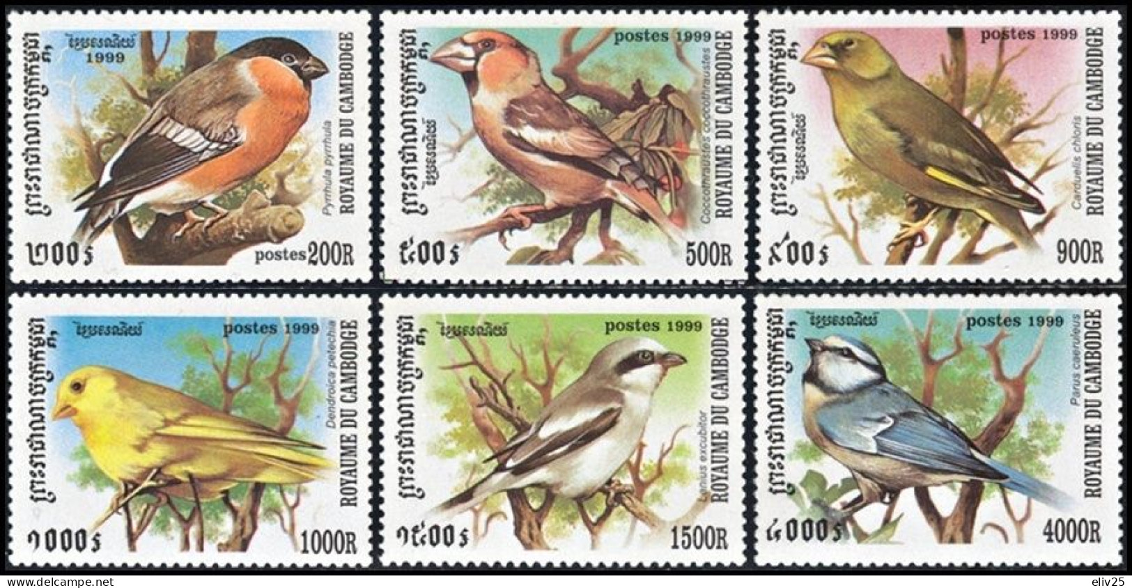 Cambodia 1999, Birds Songbirds - 6 V. MNH - Pájaros Cantores (Passeri)