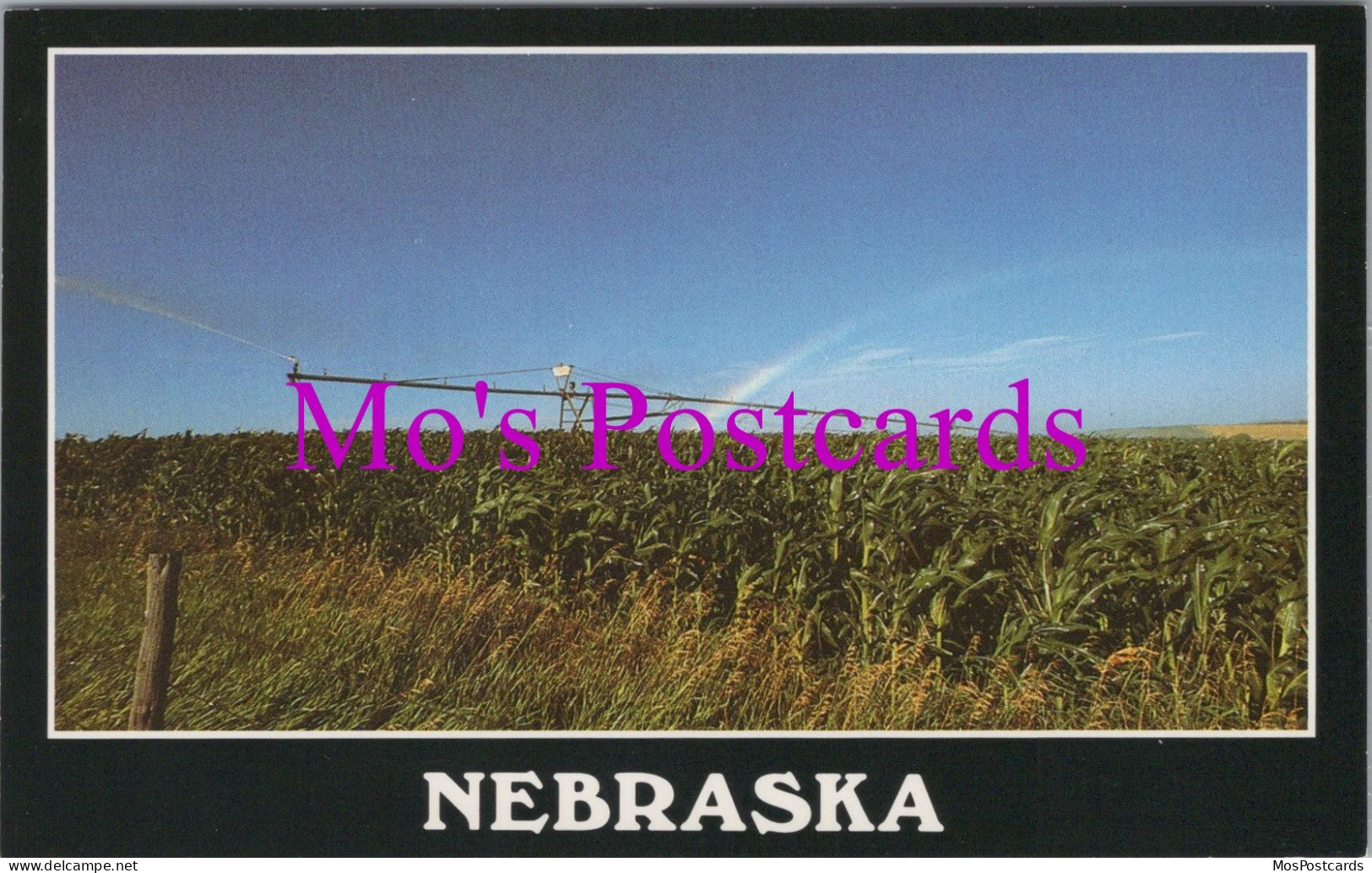 America Postcard - Nebraska. Field Of Crops   DZ41 - Andere & Zonder Classificatie