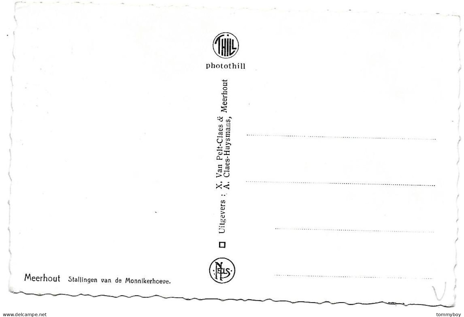 CPA Meerhout, Stallingen Van De Monnikerhoeve - Meerhout