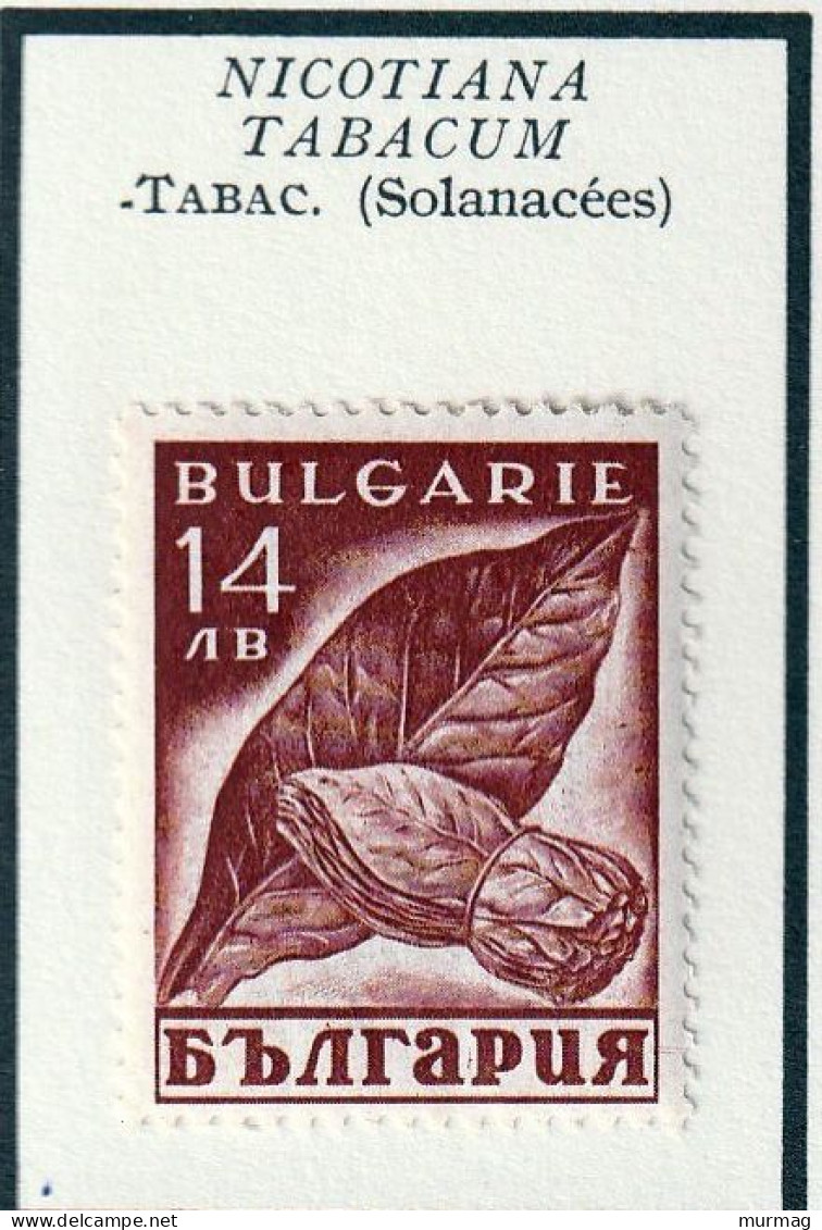 BULGARIE - Tabac - Y&T N° 317-318 - 1938 - MH - Unused Stamps