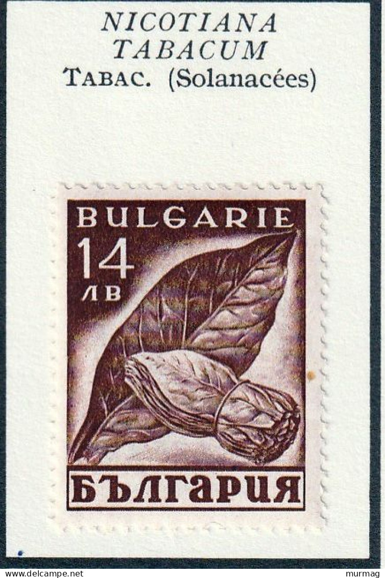 BULGARIE - Tabac - Y&T N° 317-318 - 1938 - MH - Unused Stamps