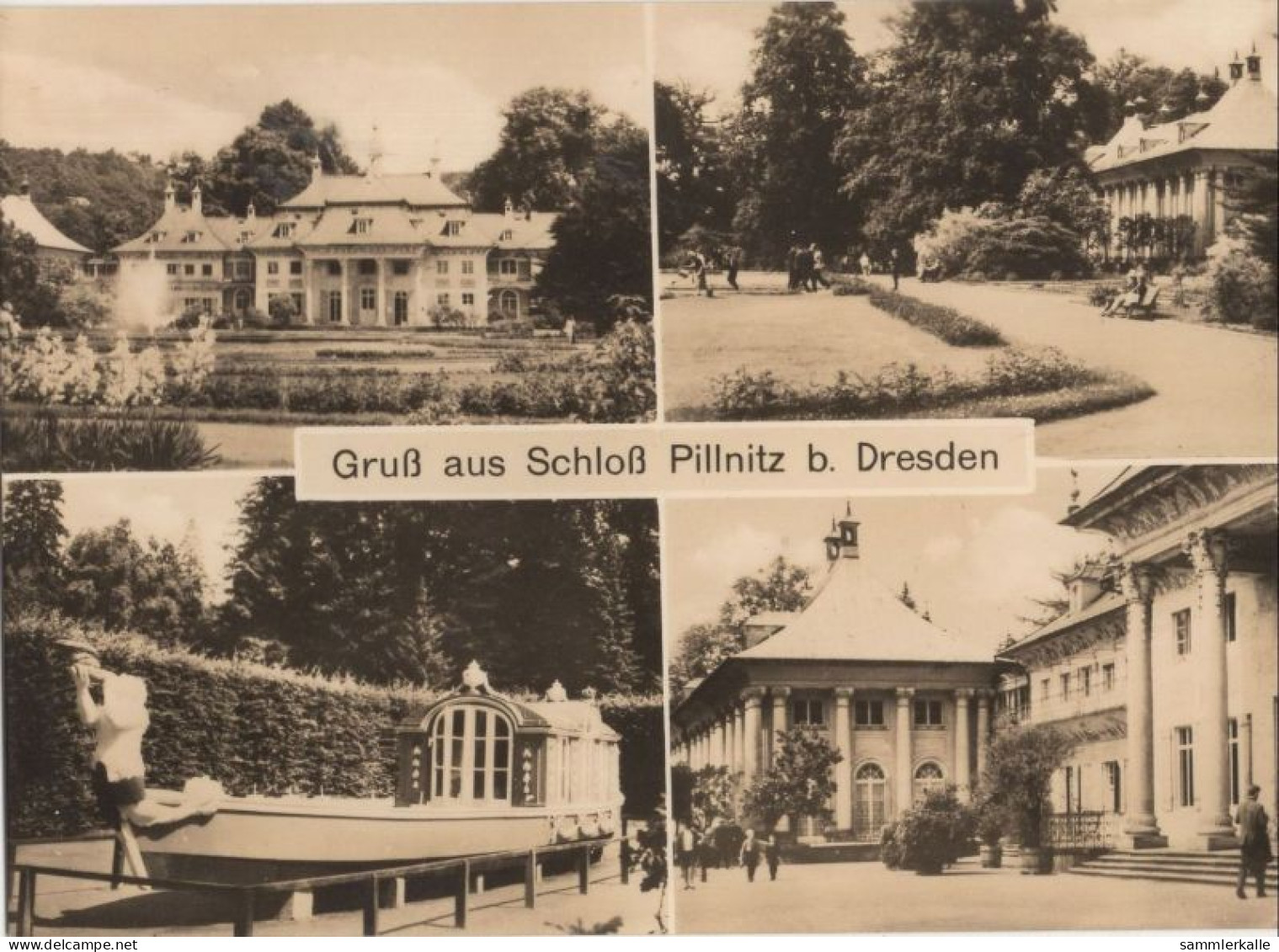 135920 - Dresden-Pillnitz - Schloss - Pillnitz