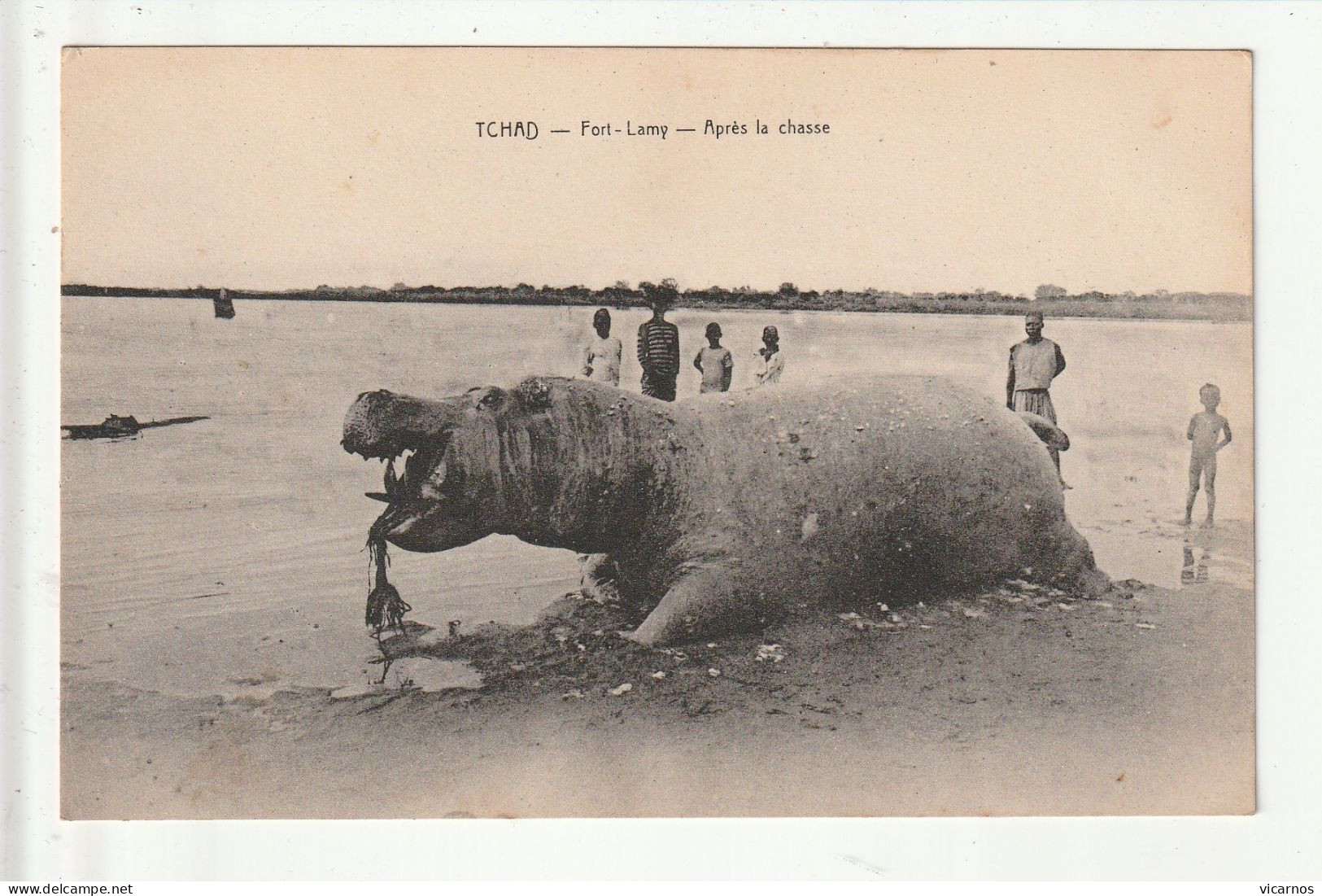 CP TCHAD FORT LAMY Apres La Chasse - Tschad