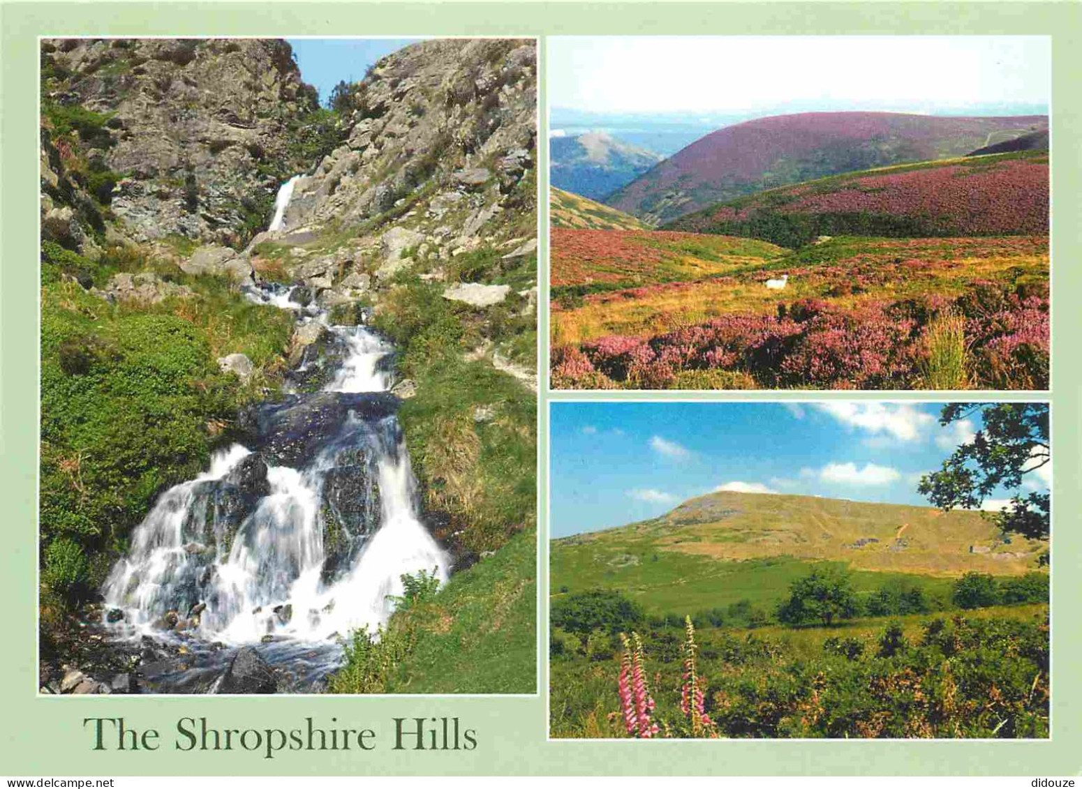 Angleterre - The Shropshire Hills - Multivues - Shropshire - England - Royaume Uni - UK - United Kingdom - CPM - Carte N - Shropshire