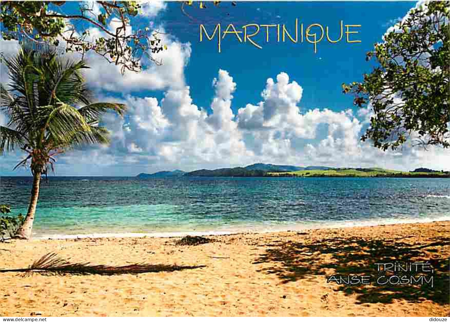 Martinique - La Trinité - Plage De L'anse Cosmy - CPM - Voir Scans Recto-Verso - La Trinite