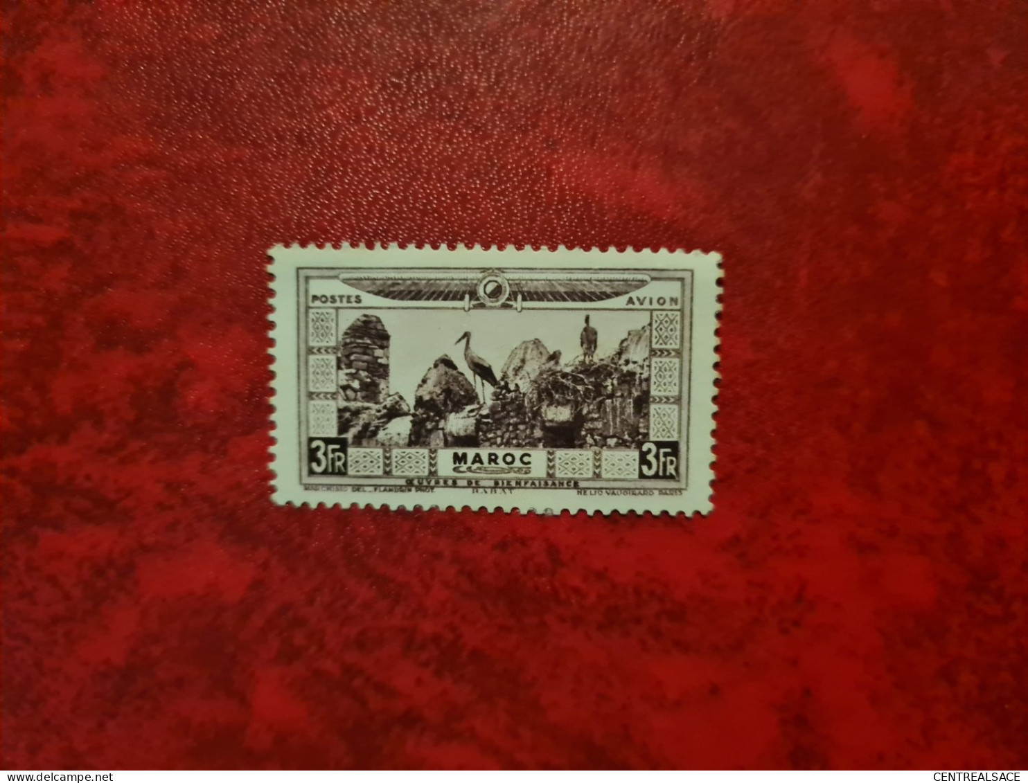 TIMBRE MAROC 1928 N° 20 CIGOGNE - Andere & Zonder Classificatie