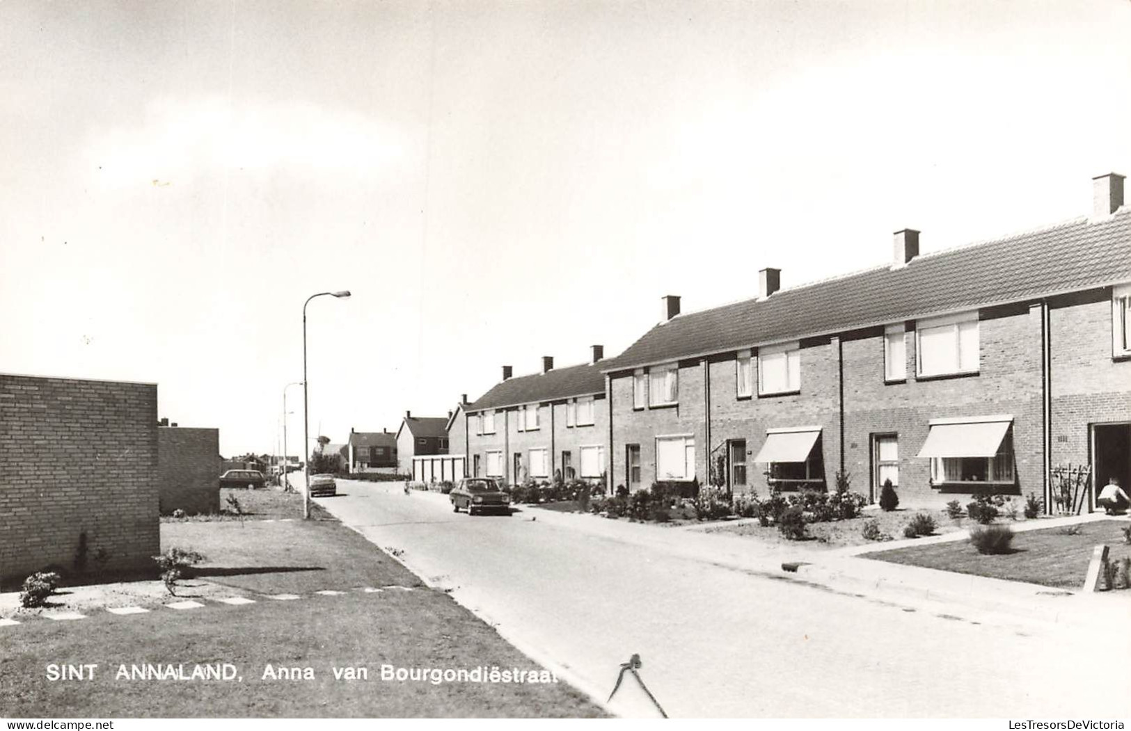 PAYS-BAS - Sint Annaland - Anna Van Bourgondiestraat - Vue Sur Une Rue - Voitures - Carte Postale Ancienne - Tholen