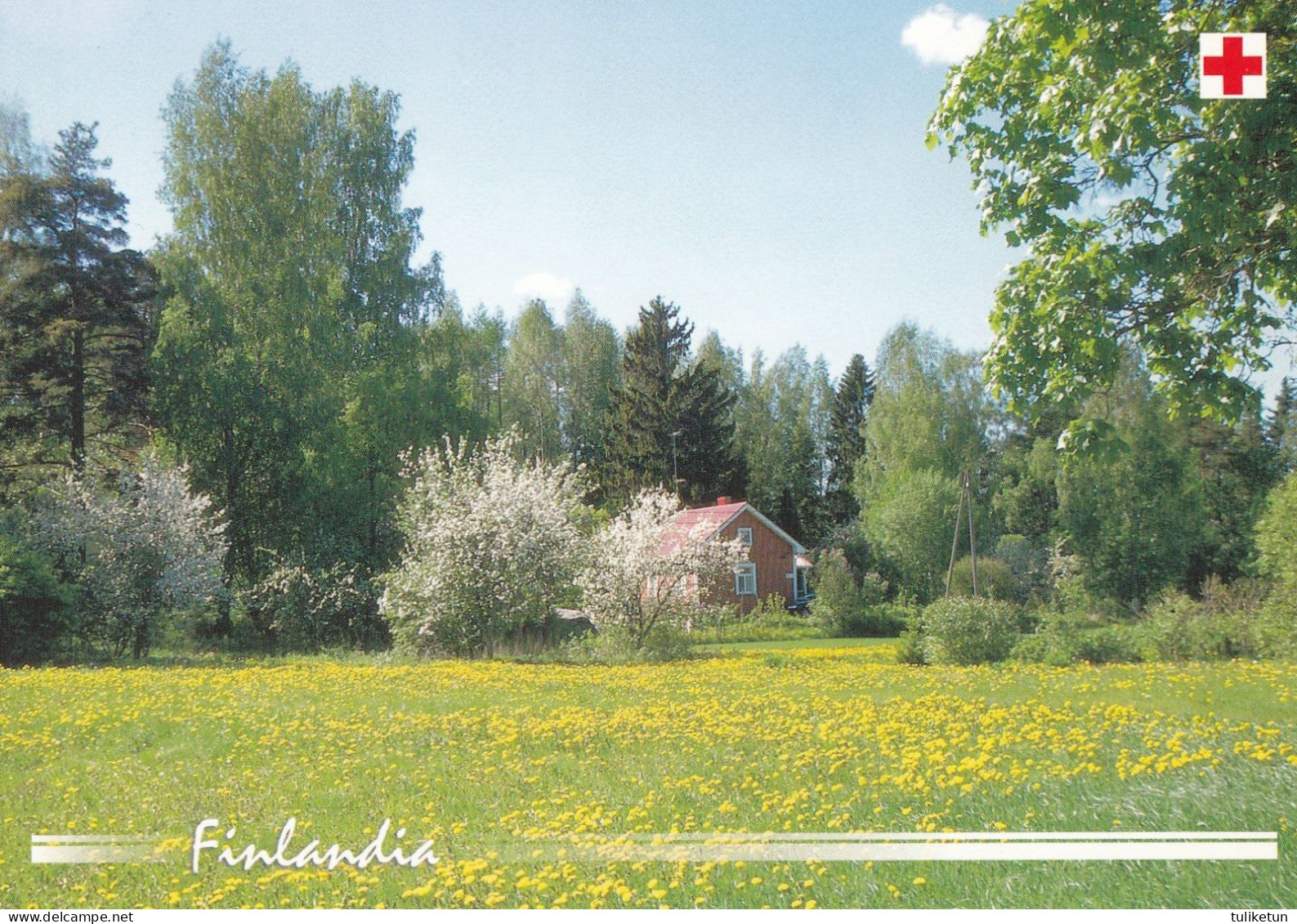 Postal Stationery - Summer Landscape - Scene - Red Cross 2002 - Finlandia - Suomi Finland - Postage Paid - Ganzsachen