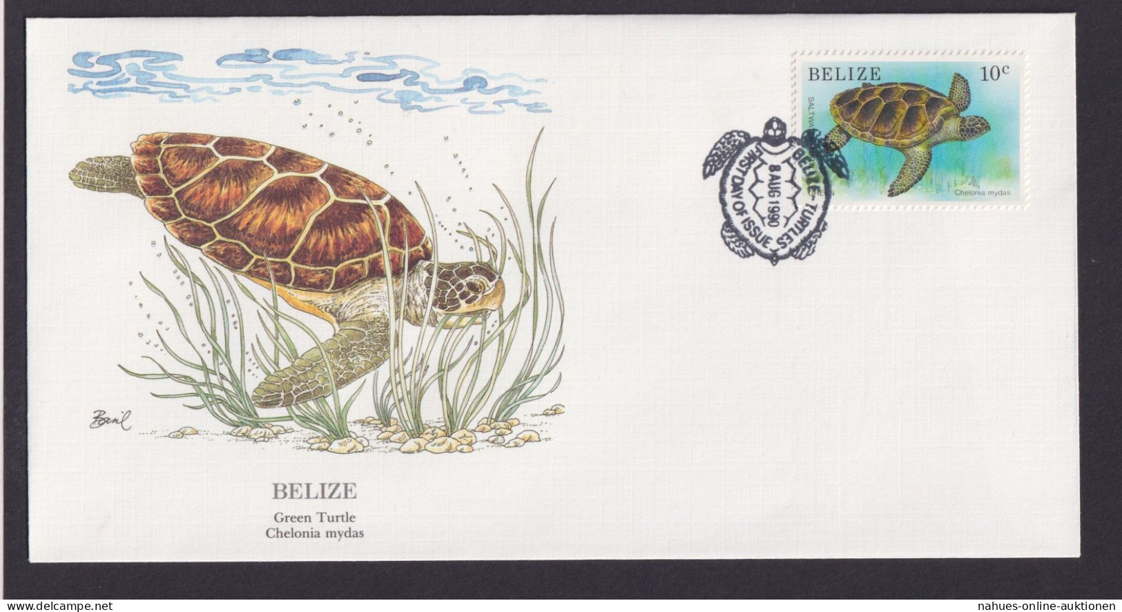 Belize Mittelamerika Fauna Tiere Suppenschildkröte Schöner KünstlerBrief - Belize (1973-...)