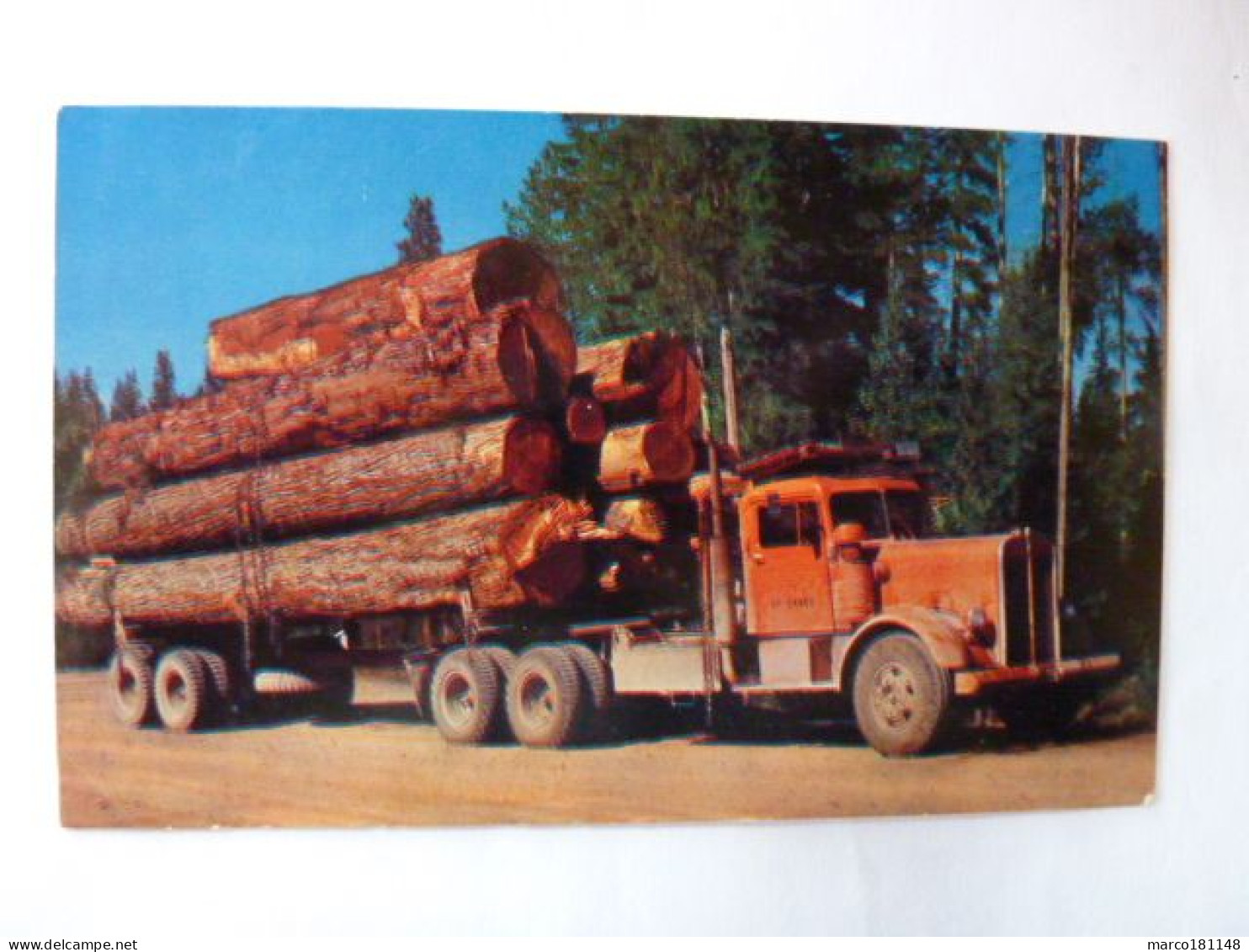 Transport De Bois Au Canada - "Paul Bunyan's Toothpicks" - Vrachtwagens En LGV